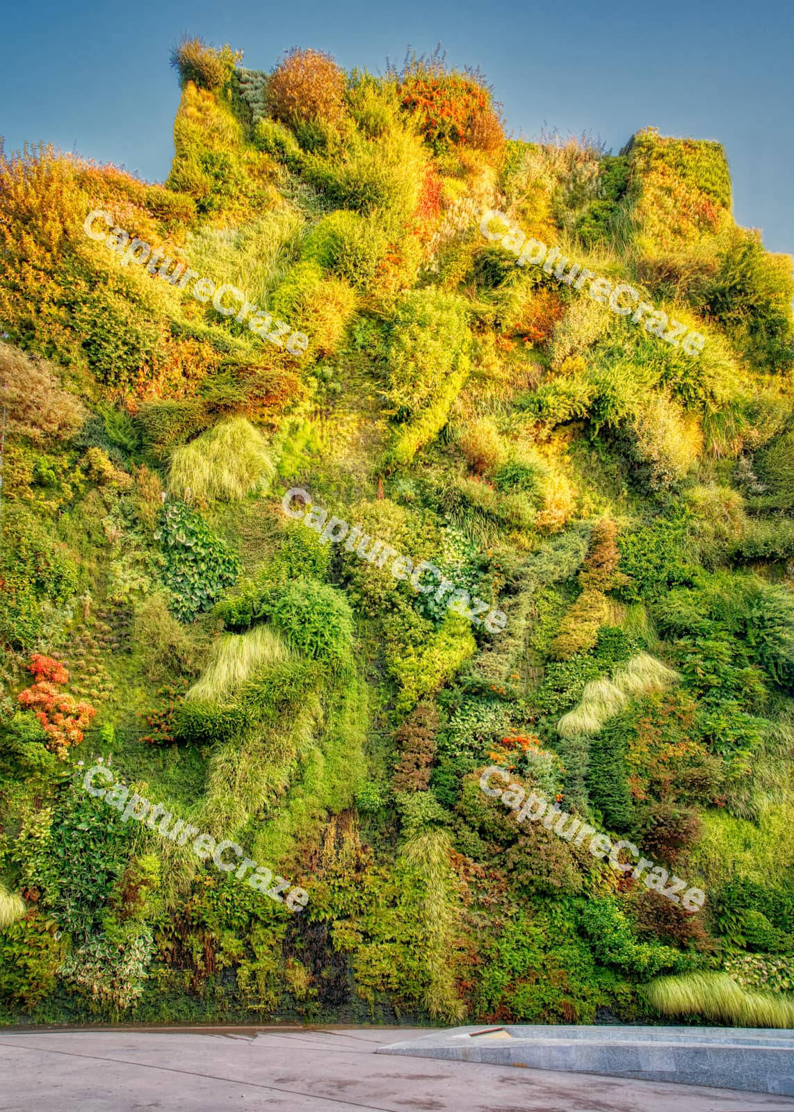 Garden wall